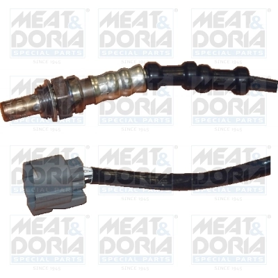 Oxygen Sensor